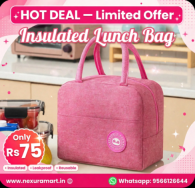 Insulated lunch bag