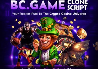 BC.Game Clone Script with Advanced  for sale in Egmore | ChennaiFreeAdz